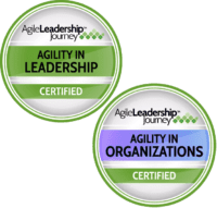 Workshop Agility in Leadership & Organizations™
